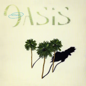 Oasis by Paragliders