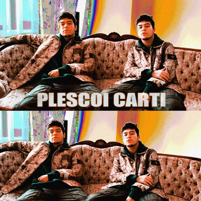 Plescoi Carti