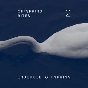 Offspring Bites 2 by Ensemble Offspring