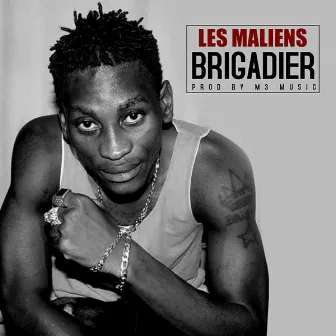 Les maliens by Brigadier