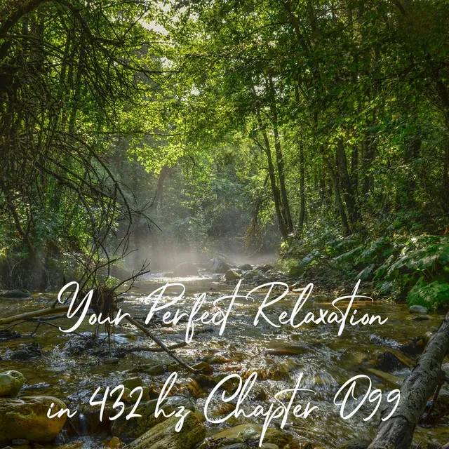 Your Perfect Relaxation in 432 Hz Chapter 099, Pt. 19