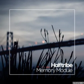 Memory Module by Halftribe