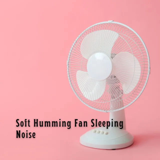 Soft Humming Fan Sleeping Noise