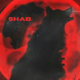 Shab by AK13