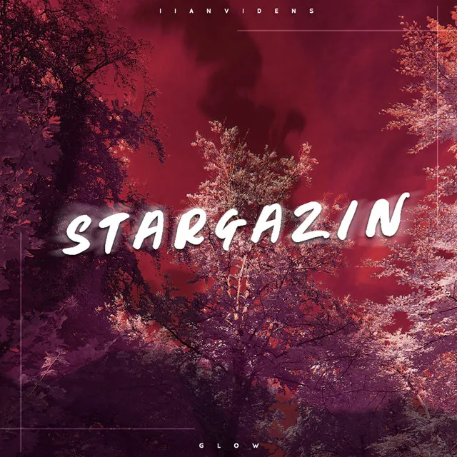 Stargazin