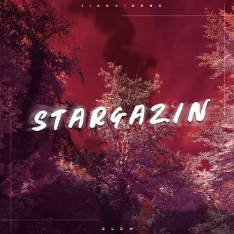 Stargazin by Ilan̈ Videns