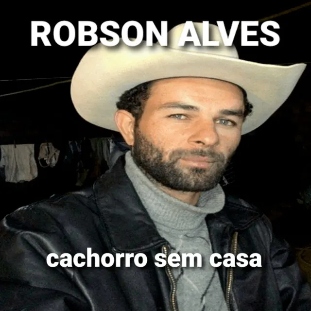 Cachorro sem casa