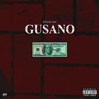 GUSANO by Stone 809