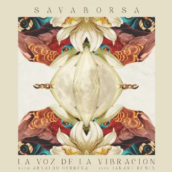 La Voz de la Vibración by SavaBorsa