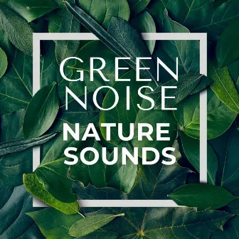 Green Noise - Nature Sounds by Sounds of Life