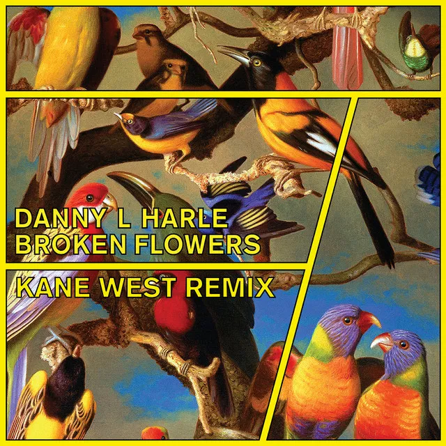 Broken Flowers - Kane West Remix