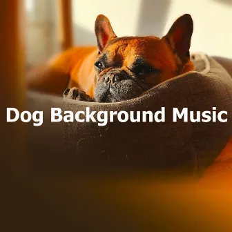 Dog Background Music by Instrumental Dog Music