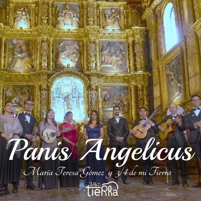 Mass, Op. 12: V. Panis Angelicus