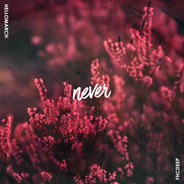 Never