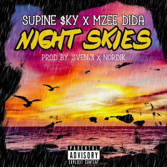 Night Skies by Mzee Dida