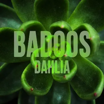 Dahlia by Badoos