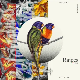 Raíces No. 1 by Mala Maña