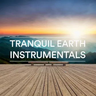 Tranquil Earth Instrumentals by Unknown Artist