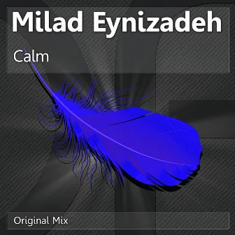 Calm by Milad Eynizadeh