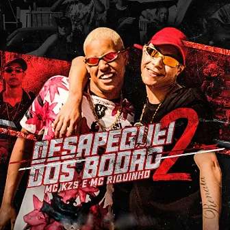 Desapeguei Dos Bodão 2 by Mc Riquinho