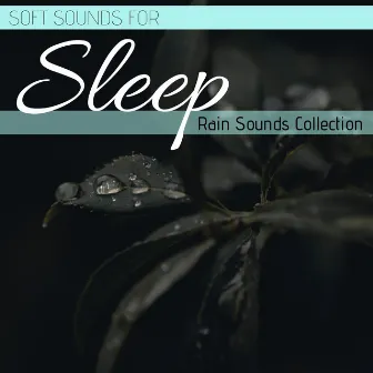 Soft Sounds for Sleep: Rain Sounds Collection by Zen Sleep Music Specialist