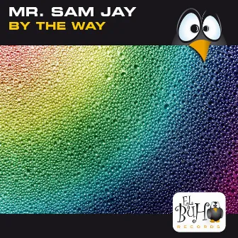 By The Way by Mr Sam Jay