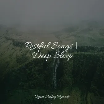 Restful Songs | Deep Sleep by Rain Drops for Sleep