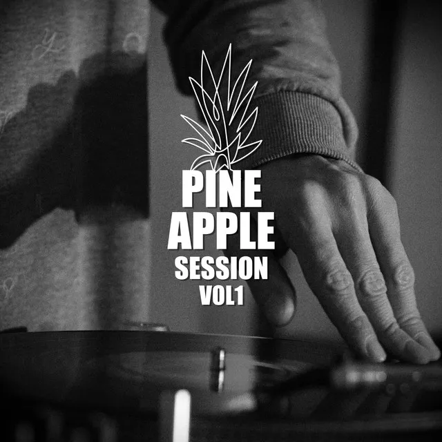 Pineapple Session, Vol. 1