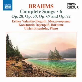 Brahms: Complete Songs, Vol. 6 by Unknown Artist