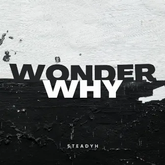 Wonder Why by SteadyH