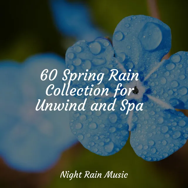 60 Spring Rain Collection for Unwind and Spa