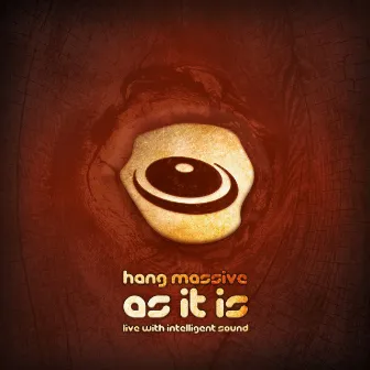 As It Is (Live) by Hang Massive