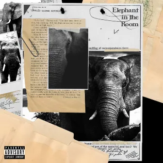 Elephant In The Room by Hollywood Ty