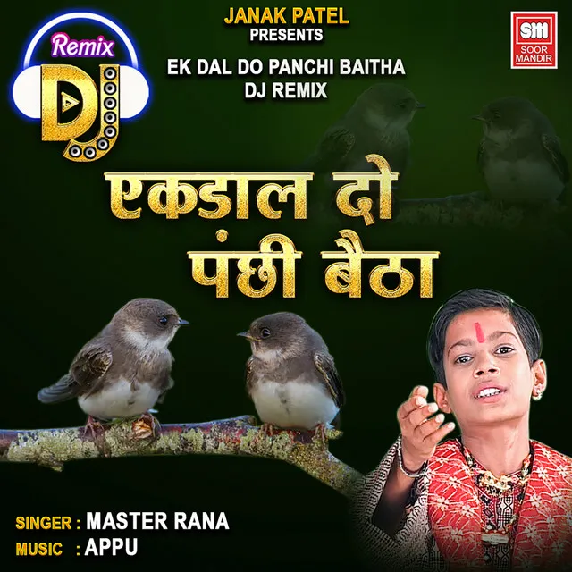 Ek Dal Do Panchi Baitha DJ Remix