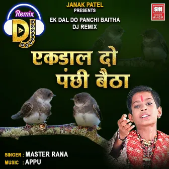 Ek Dal Do Panchi Baitha DJ Remix by Appu