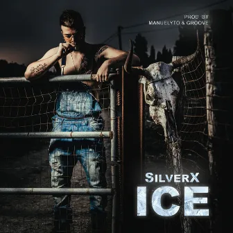 ICE by SilverX