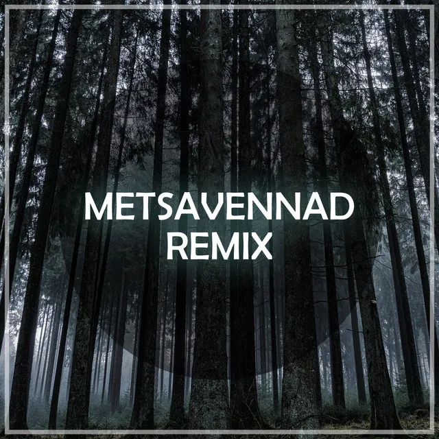 Metsavennad - Sallucinate Remix