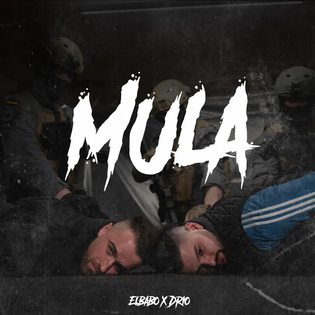 Mula