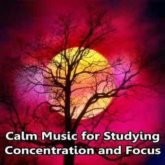 Calm Music for Studying, Concentration and Focus by Concentration Sounds