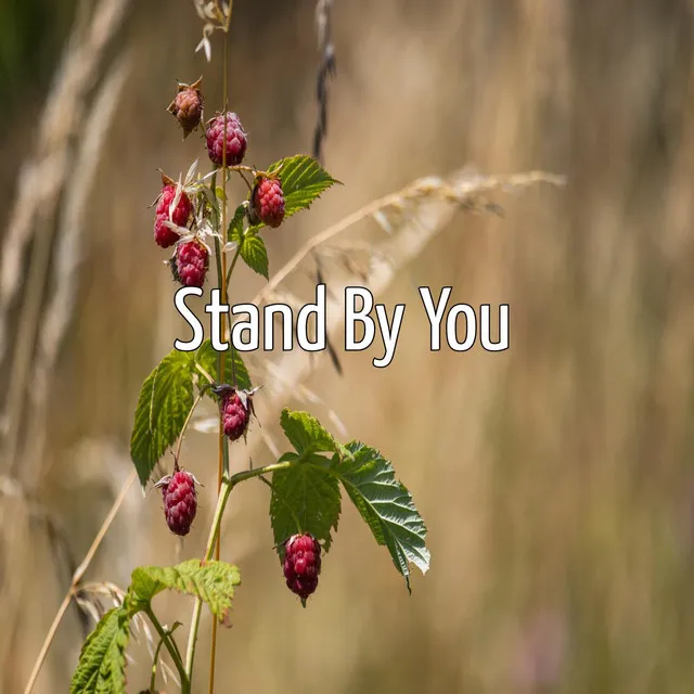 Stand By You