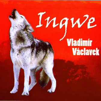 Ingwe by Vladimír Václavek