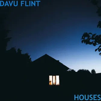 Houses by Davu Flint