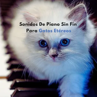 Sonidos De Piano Sin Fin Para Gatos Etéreos by Salón de jazz relajado