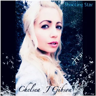 Shooting Star by Chelsea J Gibson