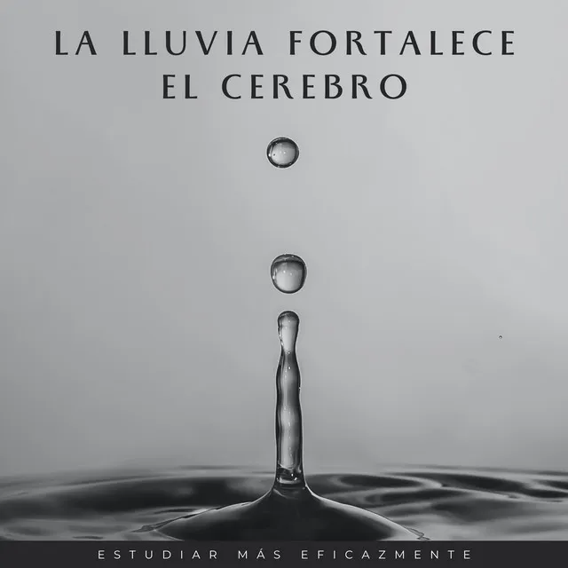 La Lluvia Fortalece El Cerebro: Estudiar Más Eficazmente