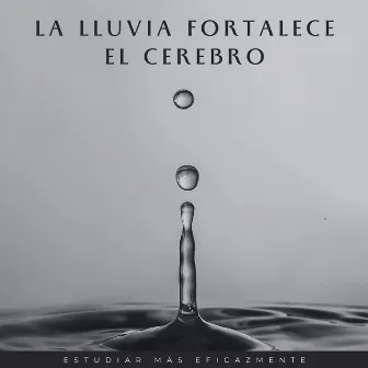 La Lluvia Fortalece El Cerebro: Estudiar Más Eficazmente by 