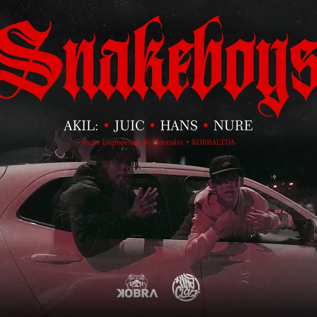 Snakeboys