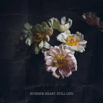 Still Life by Summer Heart