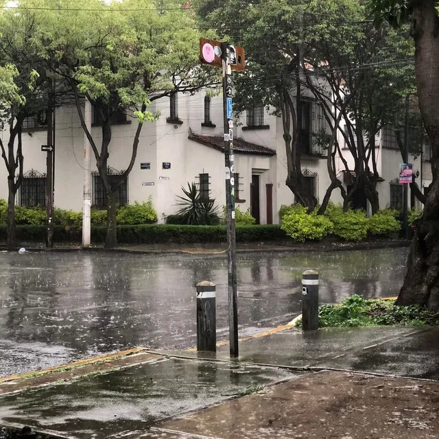 Bajo la lluvia