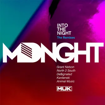 Into the Night (The Remixes) by MDNGHT